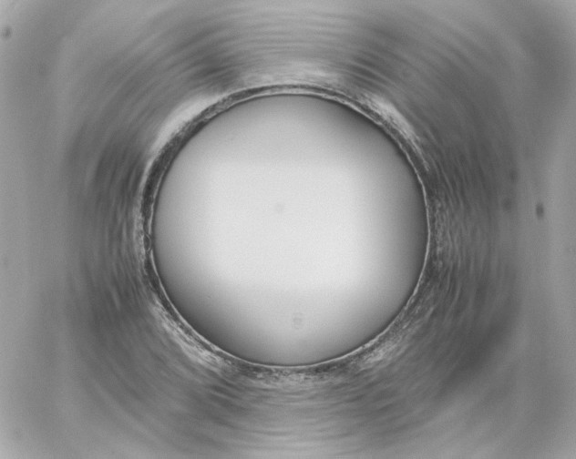 X0000060251072200511111949