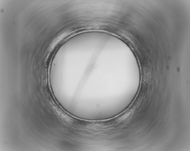 X0000060251075200511111949