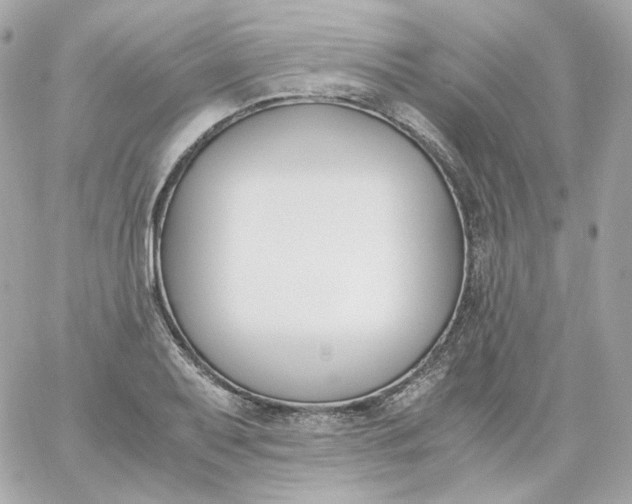 X0000060251079200511111949