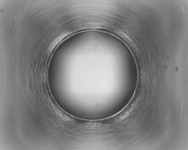 X0000060251081200511111949