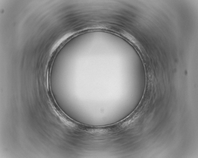 X0000060251127200511111948