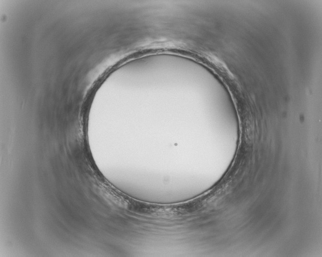 X0000060251167200511111947