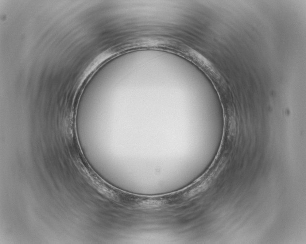 X0000060251178200511111947