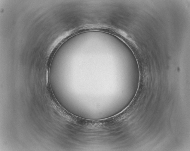 X0000060251221200511111946