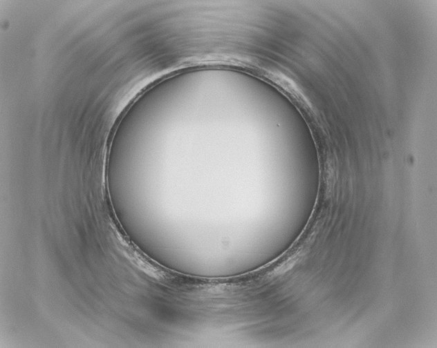 X0000060251228200511111947