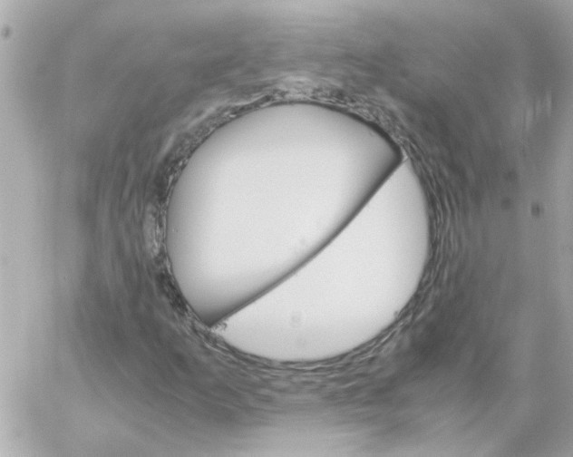 X0000060251253200511111946