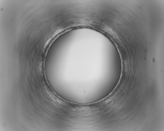 X0000060251260200511111946