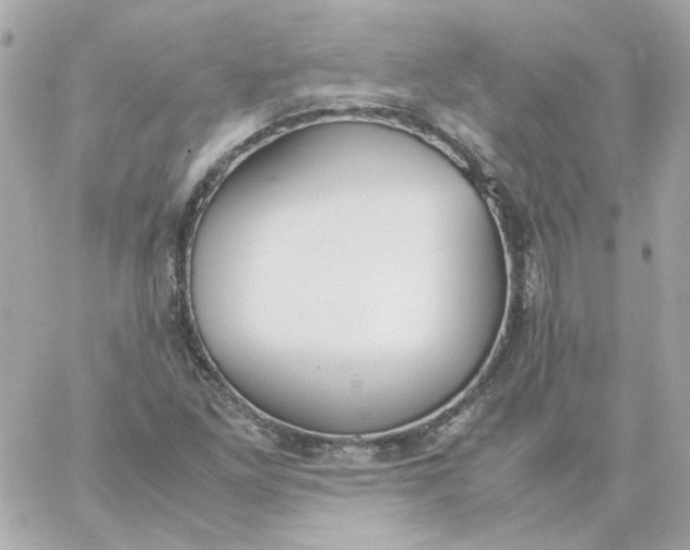 X0000060251261200511111946