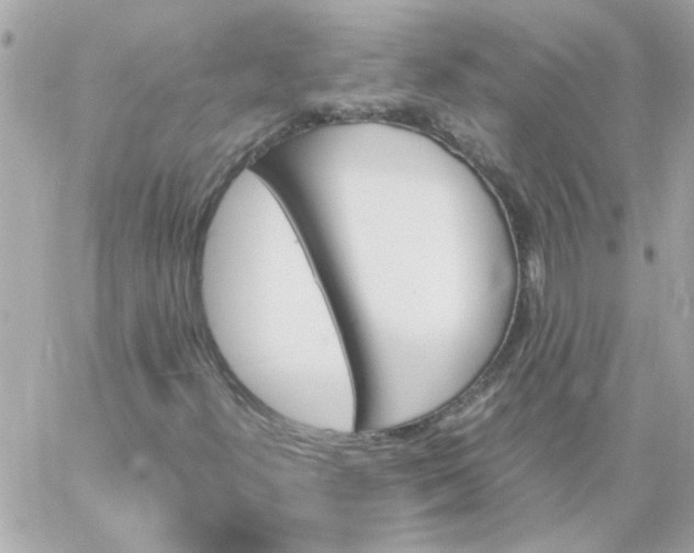 X0000060251300200511111945