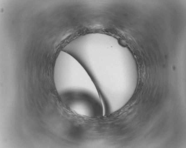 X0000060251301200511111945