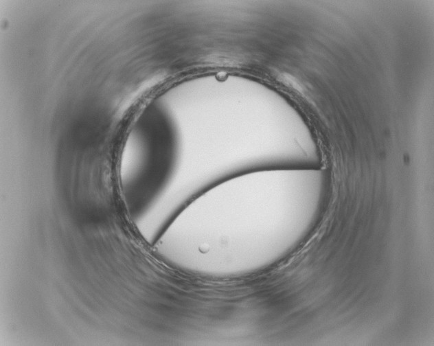 X0000060251307200511111945