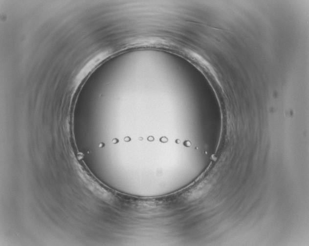 X0000060251330200511111945