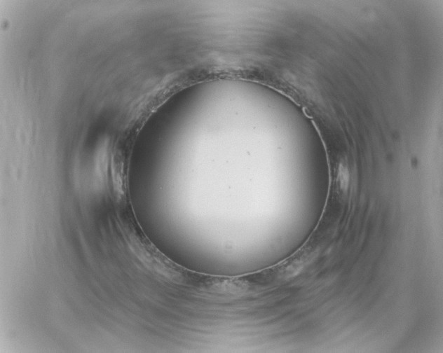 X0000060251348200511111944