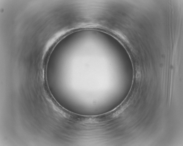 X0000060251414200511111943
