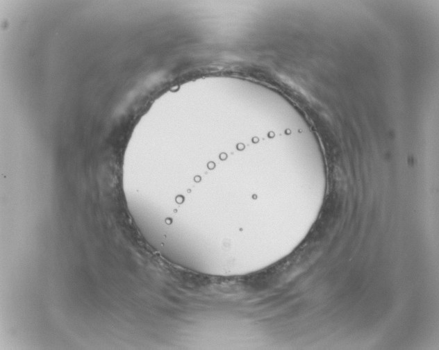 X0000060251447200511111943