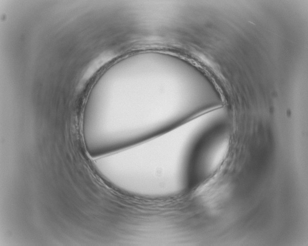 X0000060251453200511111943