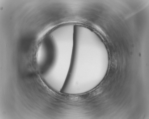 X0000060251456200511111943