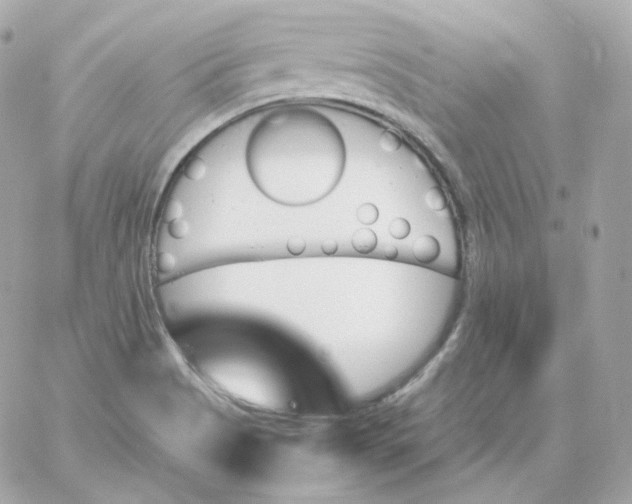 X0000060251513200511111942