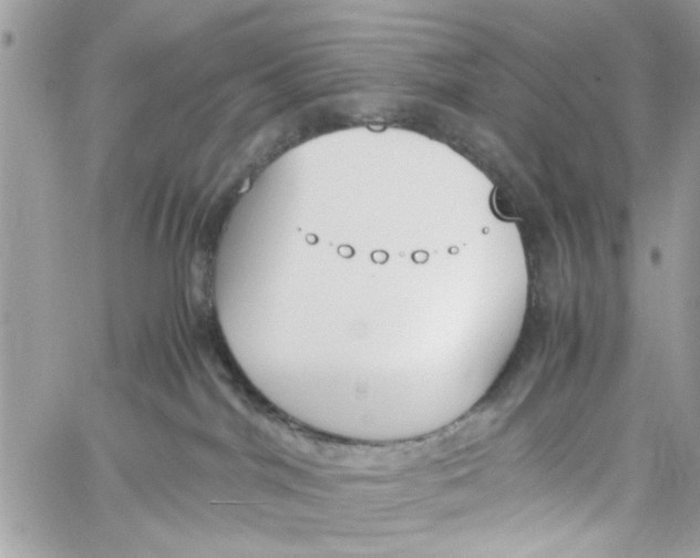 X0000060250044200511181340