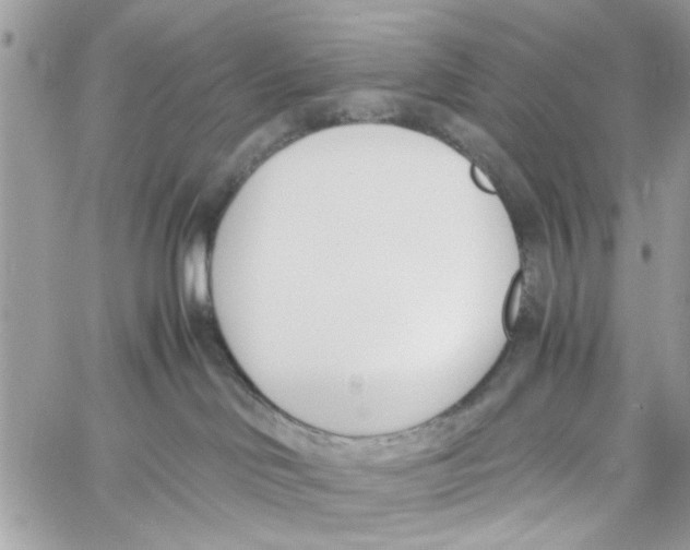 X0000060250046200511181340