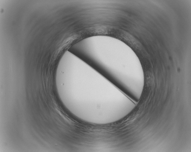 X0000060250072200511181339