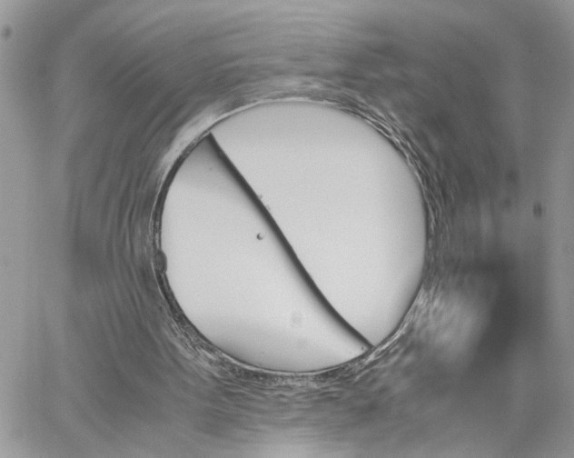 X0000060250099200511181339