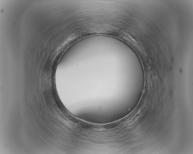 X0000060250203200511181337