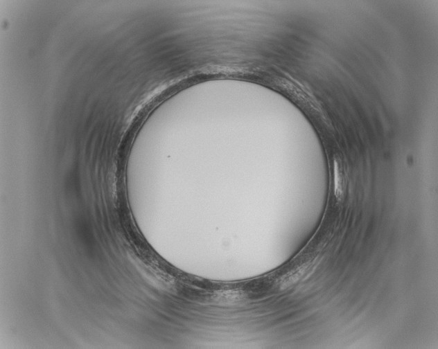 X0000060250204200511181337