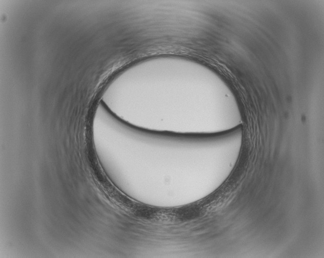 X0000060250207200511181337