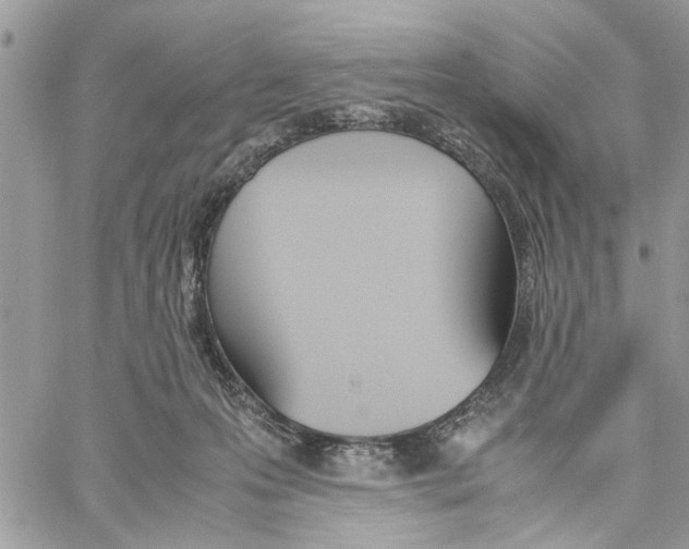 X0000060250223200511181337