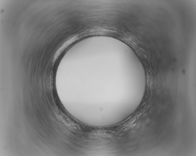 X0000060250244200511181336
