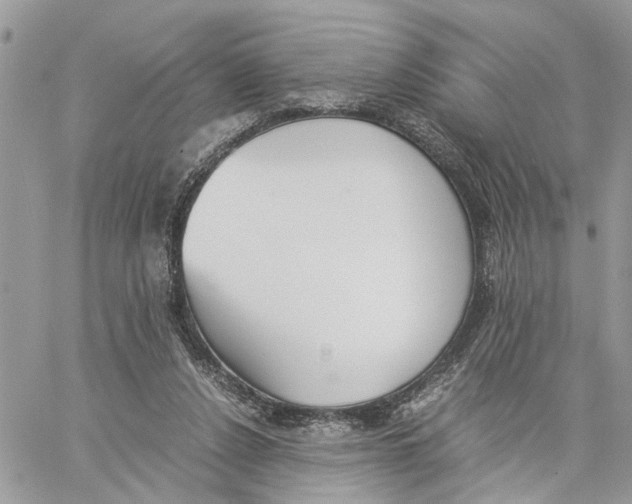 X0000060250256200511181336