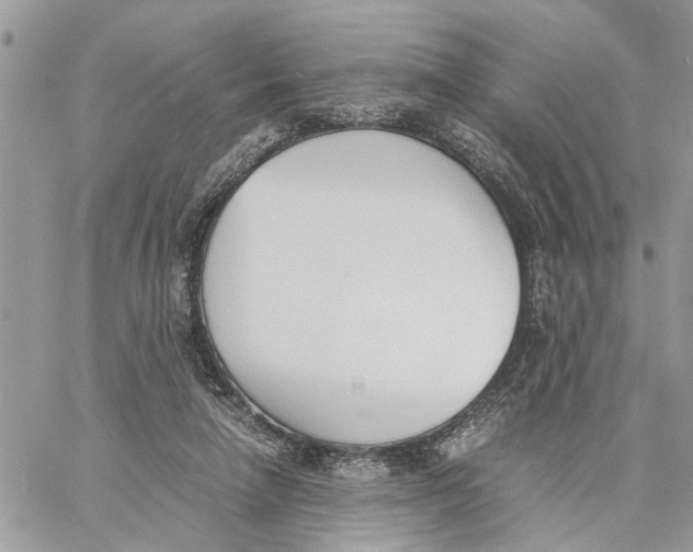 X0000060250258200511181336