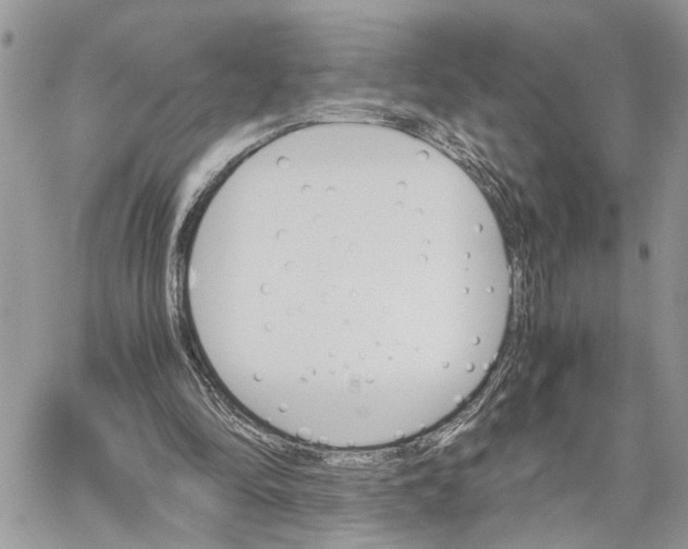 X0000060250294200511181336