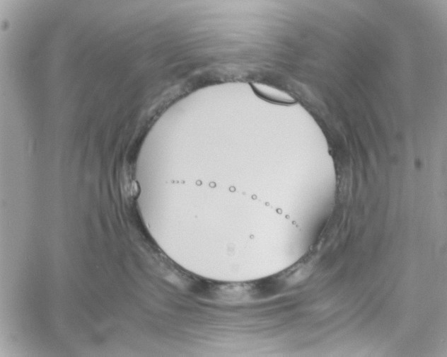 X0000060250335200511181335