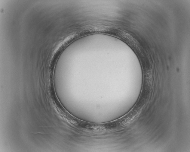 X0000060250395200511181334