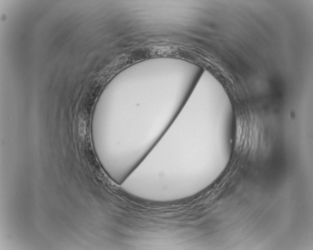X0000060250417200511181334