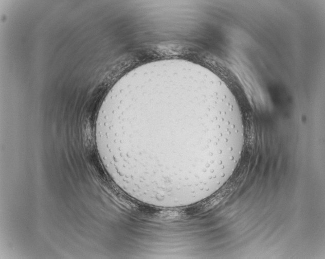 X0000060250418200511181334