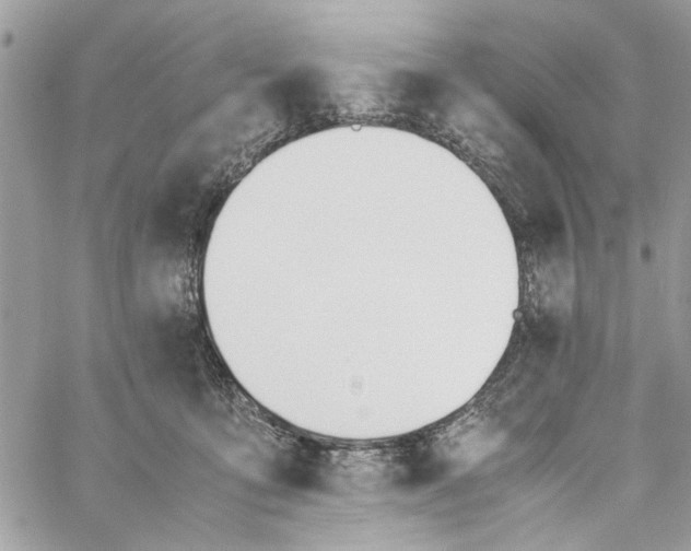 X0000060250419200511181334