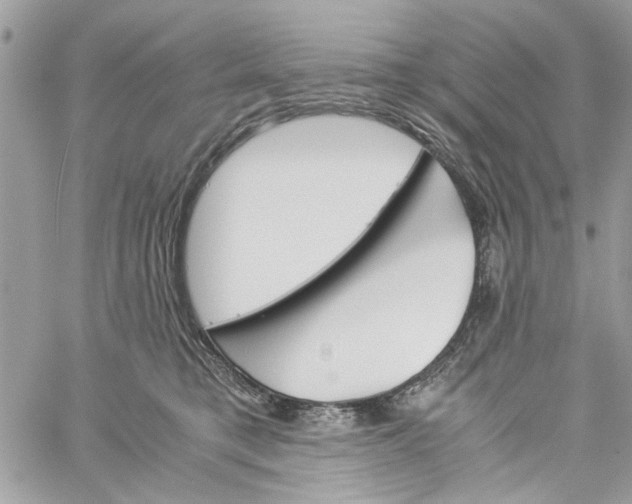 X0000060250421200511181334