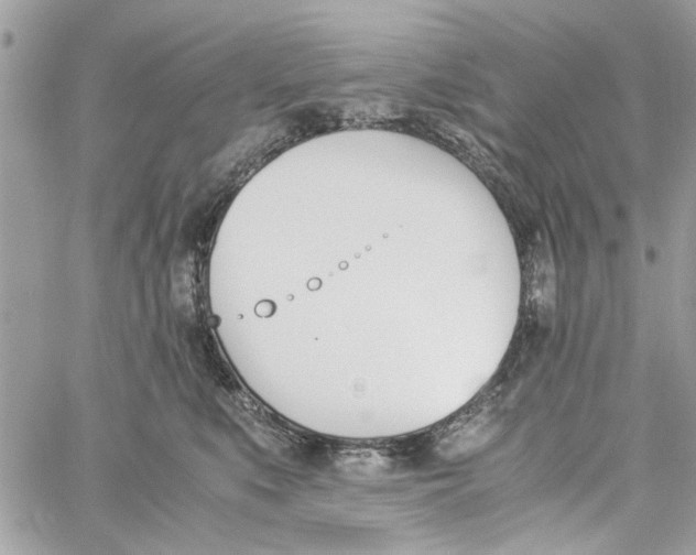 X0000060250519200511181332