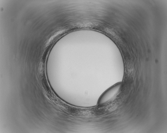 X0000060250583200511181331