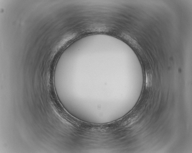 X0000060250627200511181330
