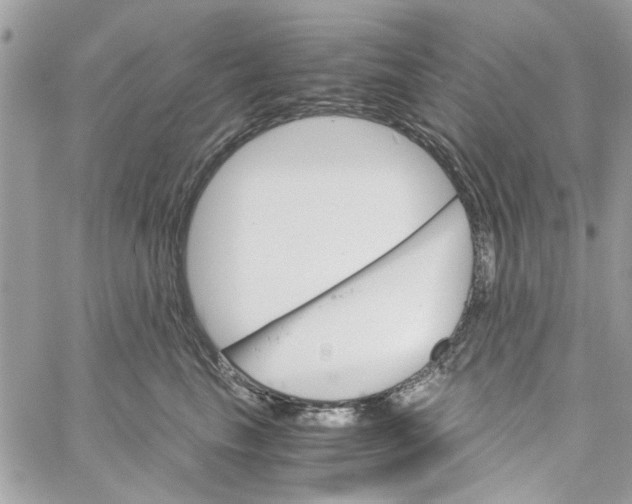 X0000060250665200511181330