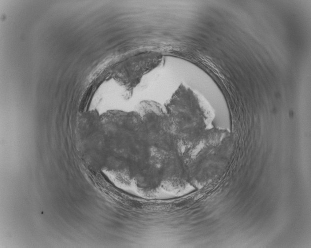 X0000060250679200511181329