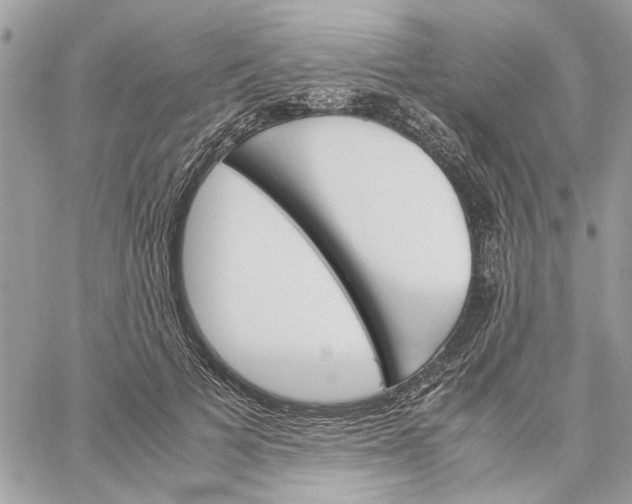X0000060250697200511181329