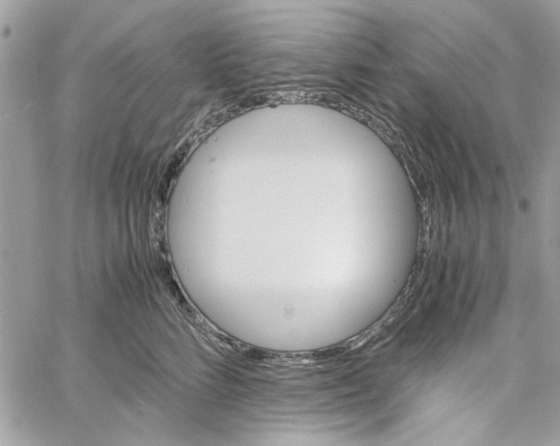 X0000060250712200511181329