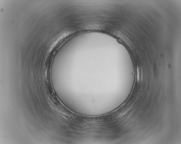 X0000060250723200511181328