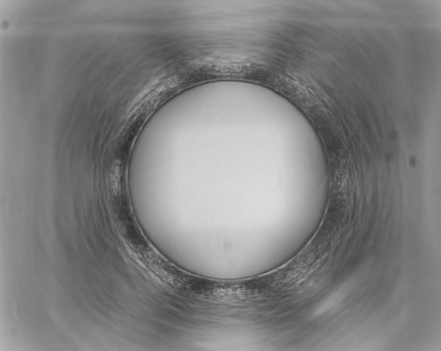 X0000060250744200511181328