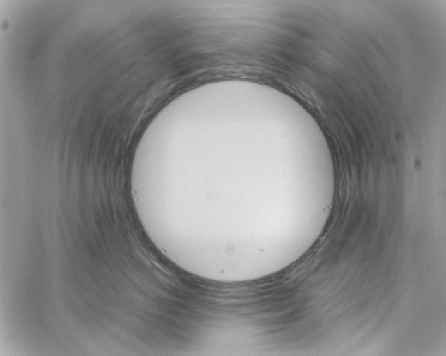 X0000060250766200511181329